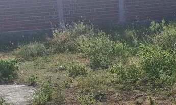 Imagem 2: Terreno 12x25 Oliveira brito