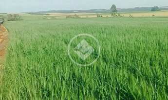 Imagem: CHÁCARA PRÓXIMO A CASCAVEL 3 ALQ codigo