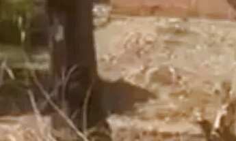 Imagem 2: Terreno pertinho da Kennedy no bairro Socopo medindo 25X50 com 1.250m²