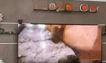 Imagem 5: Vendo excelente casa