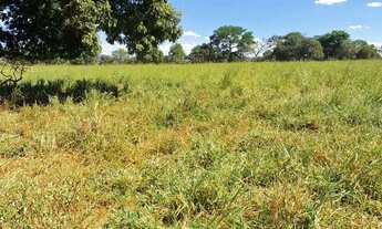 Imagem 5: Fazenda de 114,7 hectares toda plana, toda cercada no arame liso com Rio de grande porte