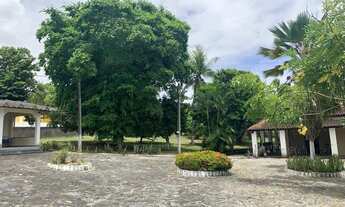 Imagem 6: Granja Não Me Deixes