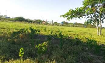 Imagem 7: Terreno em retiro coração de Maria , leia a descrição