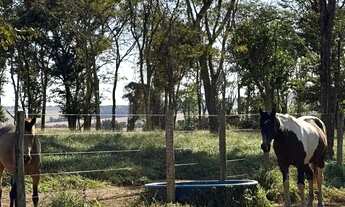 Imagem 3: Linda chacara de 12 alqueires em abadiana