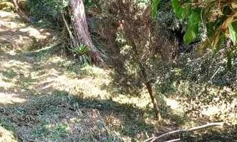 Imagem 3: Terreno em Nova Friburgo, Teodoro Oliveira, Serra Nevada, área de proteção ambiental