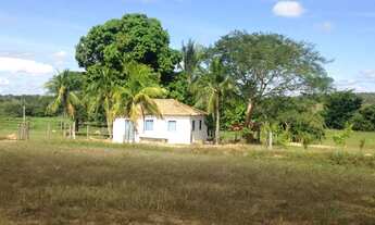 Imagem 7: Oportunidade! Fazenda pecuária de 1.186 hectares com aptidão para Usina Fotovoltaica - Ar