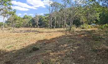 Imagem 5: CHÁCARA 30.000 METROS - 1KM ASFALTO e 7KM UBERLÂNDIA