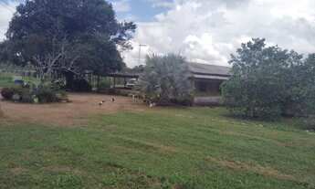 Imagem 4: Fazenda 2.500 x 2.600 na AM 010 km 164 9.000.002,00