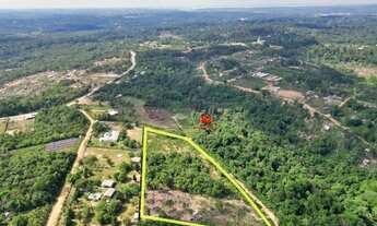 Imagem 7: Terreno com 6.000m² na Avenida Cláudio Mesquita, Tarumã-Açu