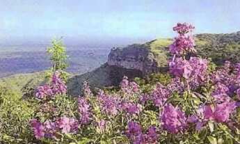 Imagem 2: Sítio à venda em Chapada dos Guimarães - MT