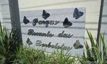 Imagem: ED. REC. DAS BORBOLETAS