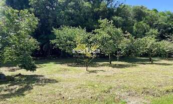 Imagem 6: TERRENO EM GRAMADO