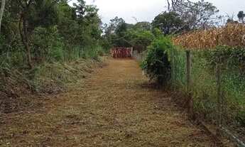 Imagem 7: Chácara no Núcleo Rural Vale Verde com 3 hectares, apenas 200 metros do asfalto