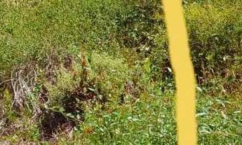 Imagem 6: VENDE-SE OU TROCA POR CARRO OU MOTO( VALOR 15.000