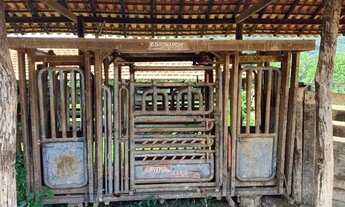 Imagem 6: Fazenda 1541 Hectares Para Pecuária Com Ótimo Acesso - Acorizal/MT