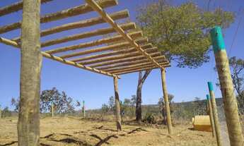 Imagem 5: PREÇO DE BANANA: SITIO DE 12HECTARES COM MUITA AGUA EM PATROCÍNIO!!