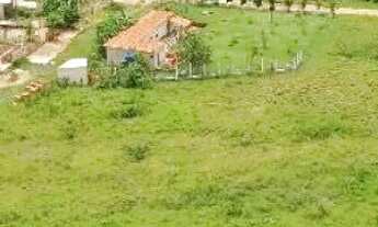 Imagem 2: Chácaras às margens do rio pardo com escritura regularizada