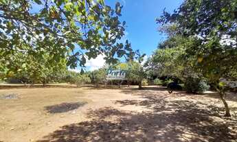 Imagem 4: Sítio 03 quartos para Venda Verdecap, Teresina