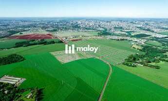 Imagem 2: Terreno Comercial para Venda em Cascavel, Vista Linda