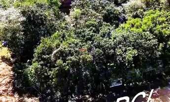 Imagem 5: Terreno à venda independente na Marina em Buzios