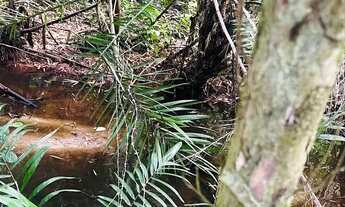 Imagem 3: 60 tarefas com riacho perene e pastagem formada