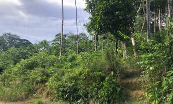 Imagem 4: Vende-se lote em Manaus