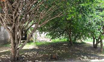 Imagem 2: Aluguel casa 2 quartos