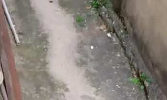 Imagem 5: Casa, 2 quartos, sala, cozinha, banheiro, área de serviço, varanda/frente, quintal, Docum