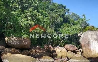 Imagem 6: Lote em Rua D - Folha Seca - Ubatuba/SP