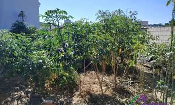 Imagem 2: TERRENO - RESIDENCIAL NOVA ERA - SP