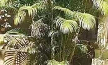 Imagem 4: Fazenda/Sítio/Chácara para venda tem 300 metros quadrados com 4 quartos