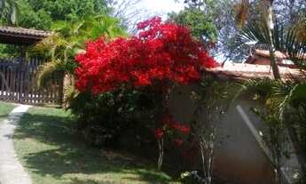 Imagem 5: Terreno à venda em , cod:13275