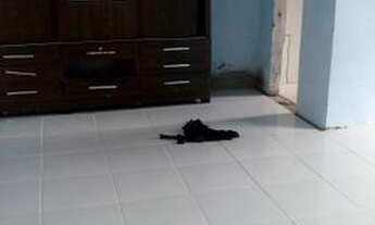 Imagem 5: Alugo está casa em mata da Serra