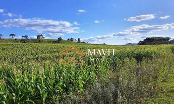 Imagem 2: Terreno Rural 25 hectares com Casa e Galpão em Capão Alto SC
