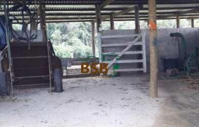 Imagem 2: Sítio 32 ha - Entrada da Sete Curvas, BR060