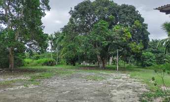 Imagem 7: R$150 mil sitio no cupiuba em Castanhal com 2 igarapés