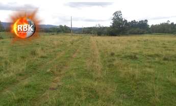 Imagem 4: Próximo a Cidade Área de Terra 3.5 hectares Zona Rural Glorinha, RS