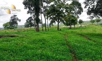 Imagem 4: Fazenda na região de Guiratinga à venda, 2341350 m² por R$ 4.500.000 - Centro - Guiratinga