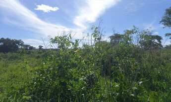 Imagem 3: EXCELENTE FAZENDA NO MUNI. NOSSA SENHORA DO LIVRAMENTO