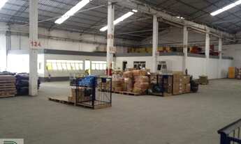 Imagem 5: Galpão Comercial, Vila Ribeiro de Barros - São Paulo