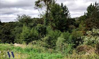 Imagem: Terreno para Venda em Campo Largo, Conjunto