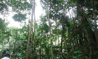 Imagem: 475,00 Hectares, Terra para Lavoura e Pecuária