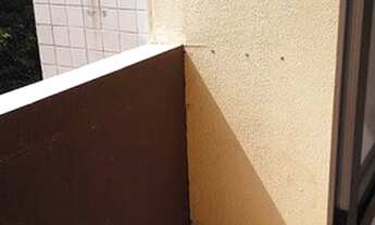 Imagem 2: Apartamento para aluguel tem 55 metros quadrados com 2 quartos em Vila Moreira - Guarulhos