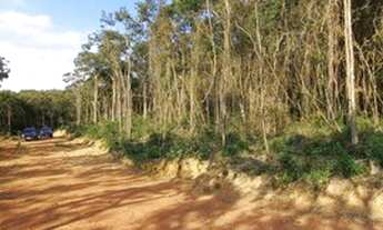 Imagem: Terreno com valor especial e ótima localização