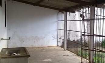 Imagem 3: Alugo barracão 1 quarto - Setor Sudoeste