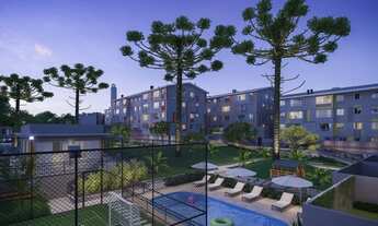 Imagem 4: Colinas do Norte