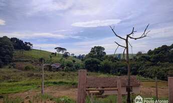 Imagem 4: Sítio com 3 dormitórios à venda, 230000 m² por R$ 1.800.000,00 - Centro - Campestrinho/SP