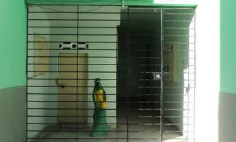 Imagem: Aptos no Janga,3 Quartos 1 Suíte C/ Vista