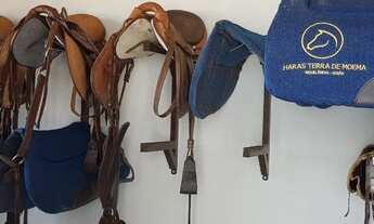 Imagem 2: HARAS MUNICIPIO DE NIQUELANDIA