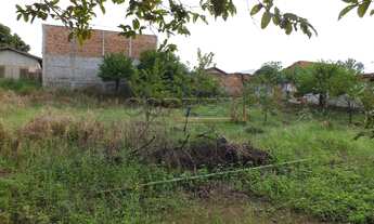 Imagem: Araçatuba - Lote/Terreno - Alvorada